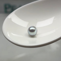 【New】Akoya Oyster (6-7.5mm)(1 Akoya Pearl in 1 Oyster Seawater Pearl)