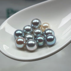 【New】Akoya Oyster (6-7.5mm)(1 Akoya Pearl in 1 Oyster Seawater Pearl)