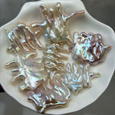 【New】 Dinosaur Fossil (1 Pearl in 1 Clam)