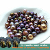 Jelly Bean (20+ Seedless Pearl)