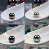 Black Tahitian Oyster (8-12mm Black Pearl )