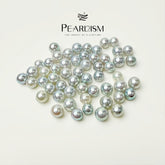 【New】Akoya (1 Akoya Pearl in 1 Oyster 5-6mm)