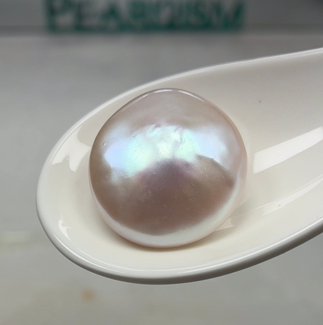 【New】 UFO(1 Clam Include 1 UFO Shape Freshwater Pearl)【Pearlism】