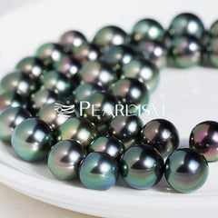 Black Tahitian Oyster (8-12mm Black Pearl )