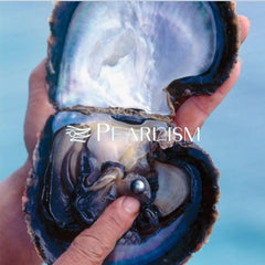 Black Tahitian Oyster (8-12mm Black Pearl )